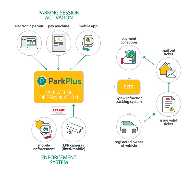 park plus violation determination